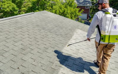 5 Essential Tips for Choosing the Best Roof Repair Company